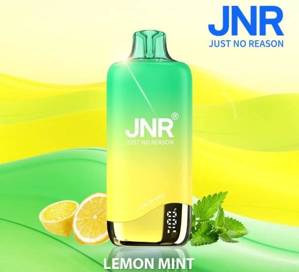 JNR RAINBOW 10K Puffs-Lemon Mint | Disposable Vape: A Fusion of Innovation and Flavour