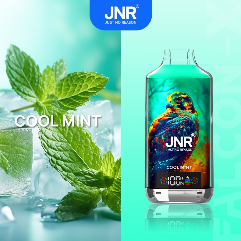 Discover the Power of the JNR FALCON X 18000 Puffs Disposable Vape - Cool Mint