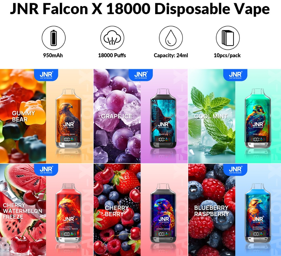 Discover the Power of the JNR FALCON X 18000 Puffs Disposable Vape - Cool Mint